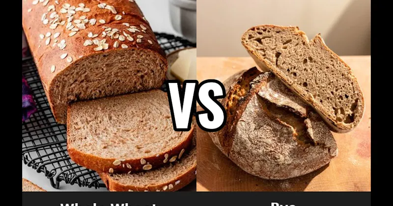 Rye vs. Whole Wheat