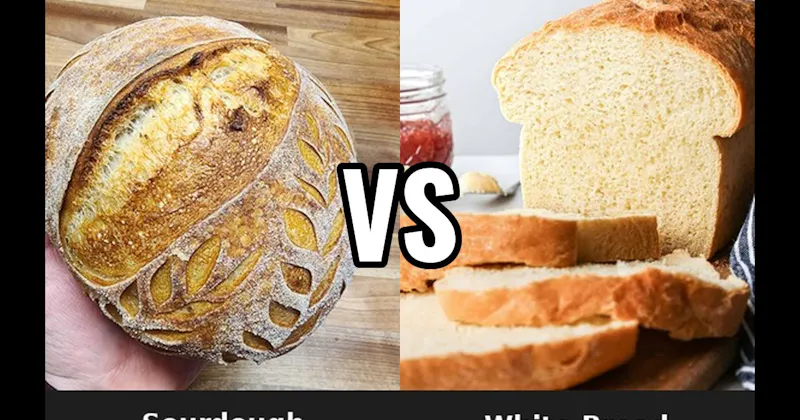 Sourdough vs. White Bread