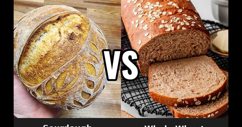 Sourdough vs. Whole Wheat