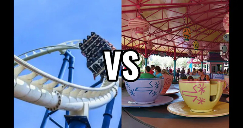 Steel Roller Coaster vs. Tea Cups