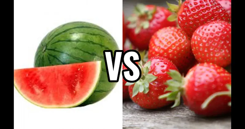 Strawberry vs. Watermelon