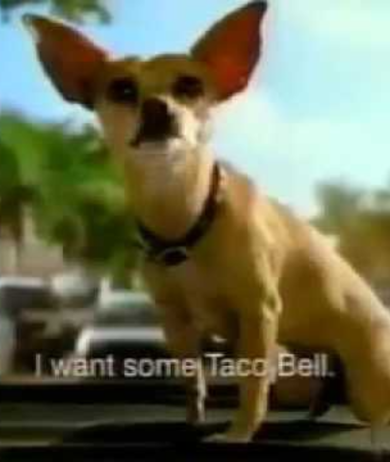 Taco Bell Chihuahua (Taco Bell)