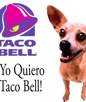 Taco Bell Chihuahua (Taco Bell)