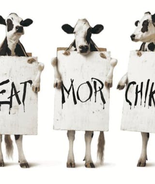 Cows (Chick-fil-a)