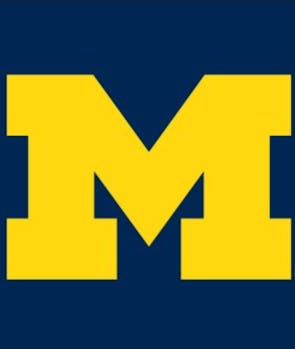 Michigan Wolverines