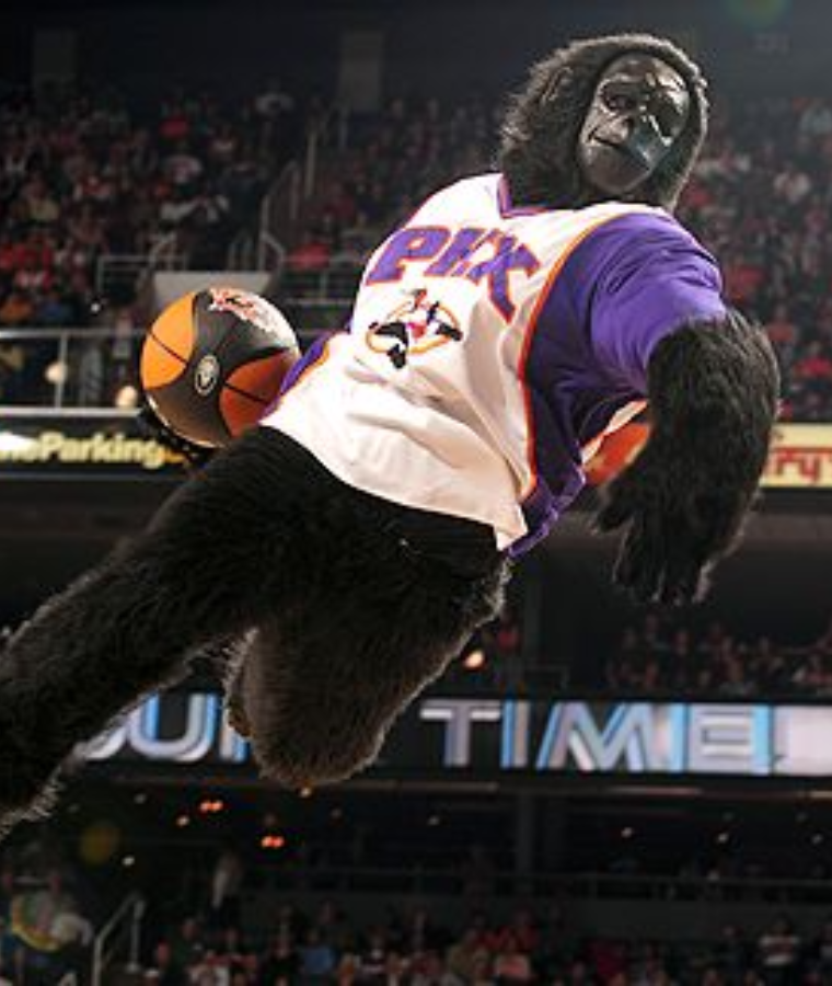 The Suns Gorilla (Phoenix Suns)
