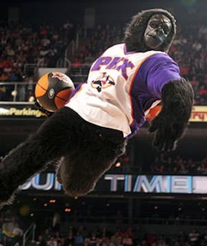 The Suns Gorilla (Phoenix Suns)