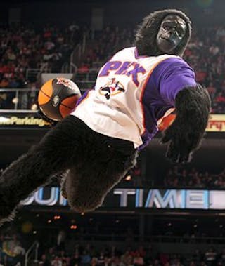 The Suns Gorilla (Phoenix Suns)