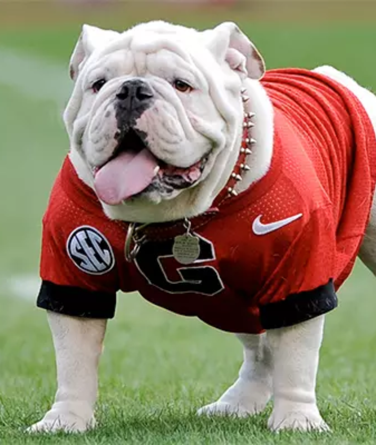 Uga (Georgia Bulldogs)