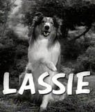 Lassie (Lassie)