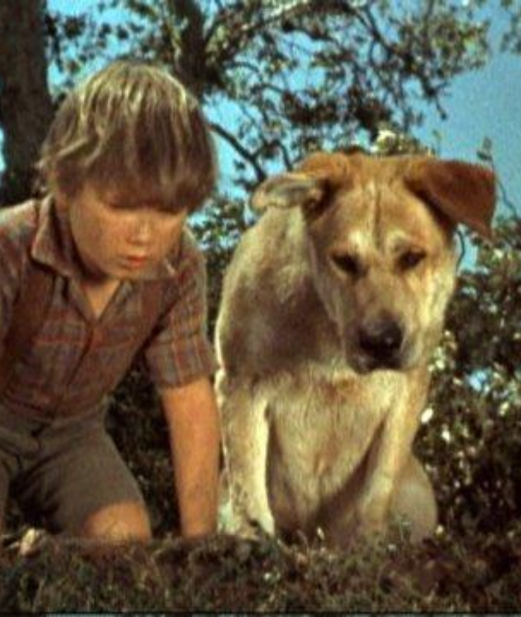 Old Yeller (Old Yeller)