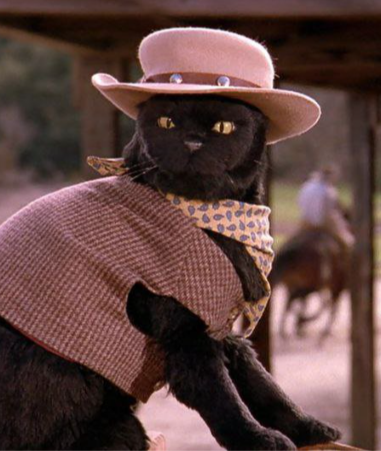 Salem Saberhagen (Sabrina the Teenage Witch)