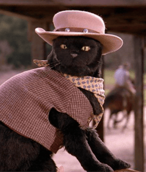 Salem Saberhagen (Sabrina the Teenage Witch)
