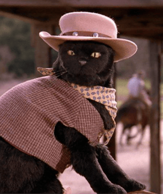 Salem Saberhagen (Sabrina the Teenage Witch)