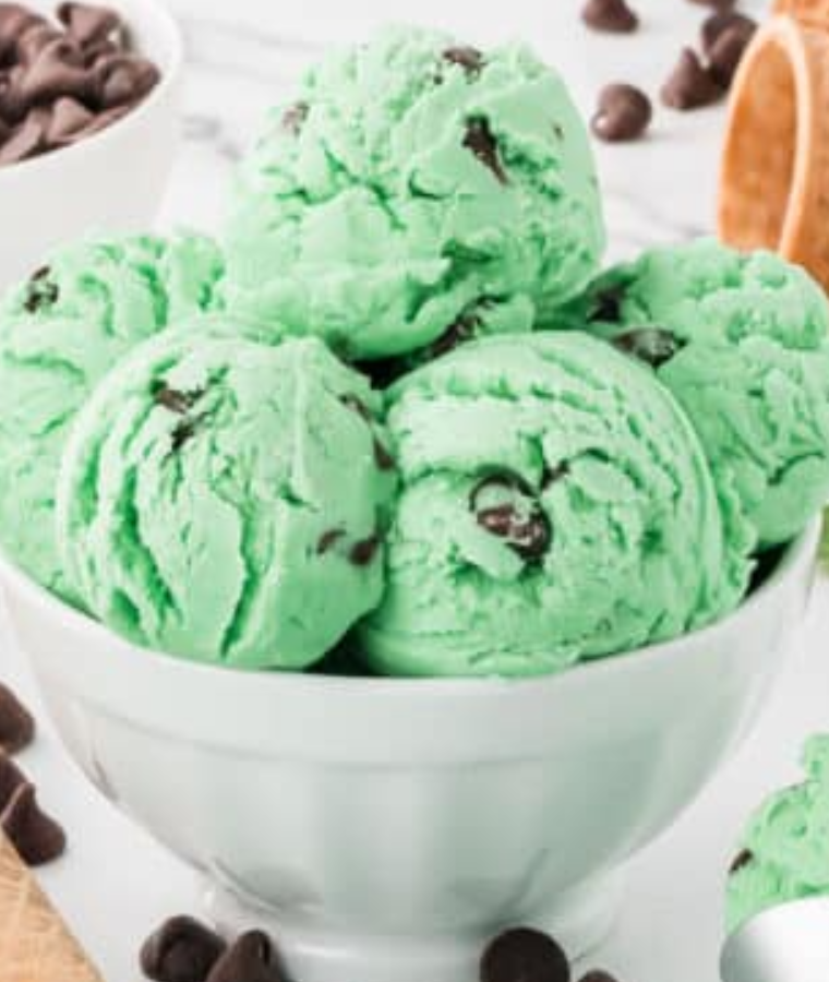 Mint Chocolate Chip Ice Cream