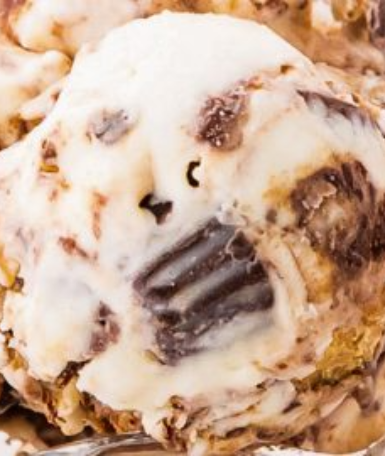 Moose Tracks Ice Cream