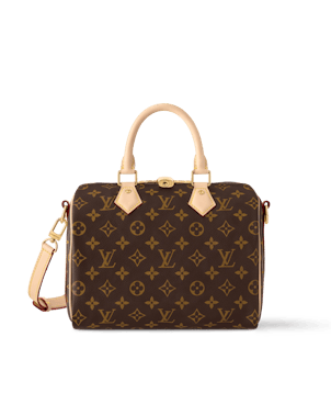 Louis Vuitton Speedy