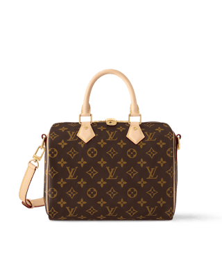 Louis Vuitton Speedy