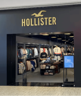 Hollister Co.
