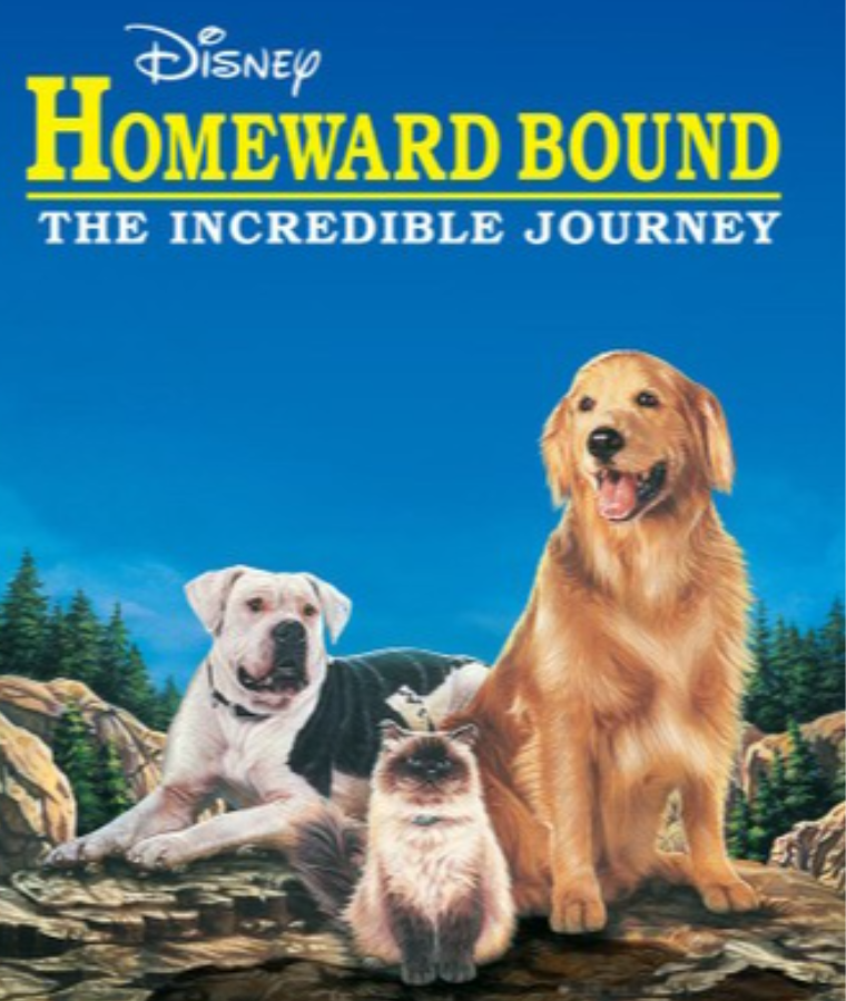 Homeward Bound: The Incredible Journey