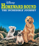 Homeward Bound: The Incredible Journey