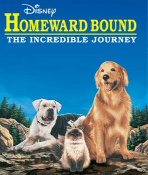Homeward Bound: The Incredible Journey