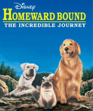 Homeward Bound: The Incredible Journey