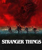 Stranger Things (Netflix)