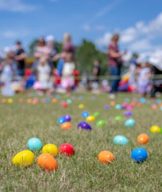 Easter Egg Hunt