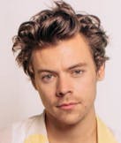 Harry Styles