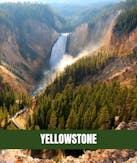 Yellowstone National Park