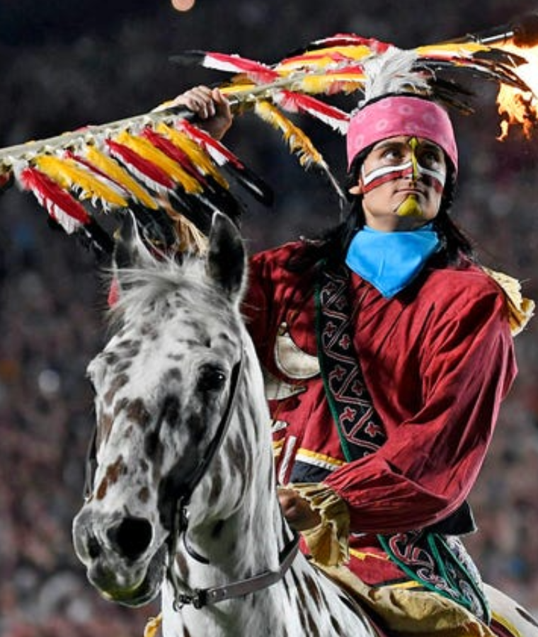 Osceola & Renegade (Florida State Seminoles)