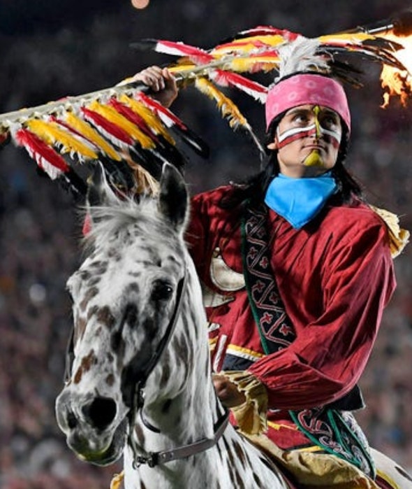 Osceola & Renegade (Florida State Seminoles)