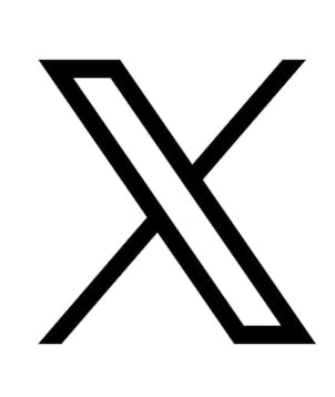 X (Twitter)