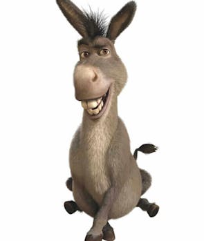 Donkey