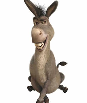 Donkey