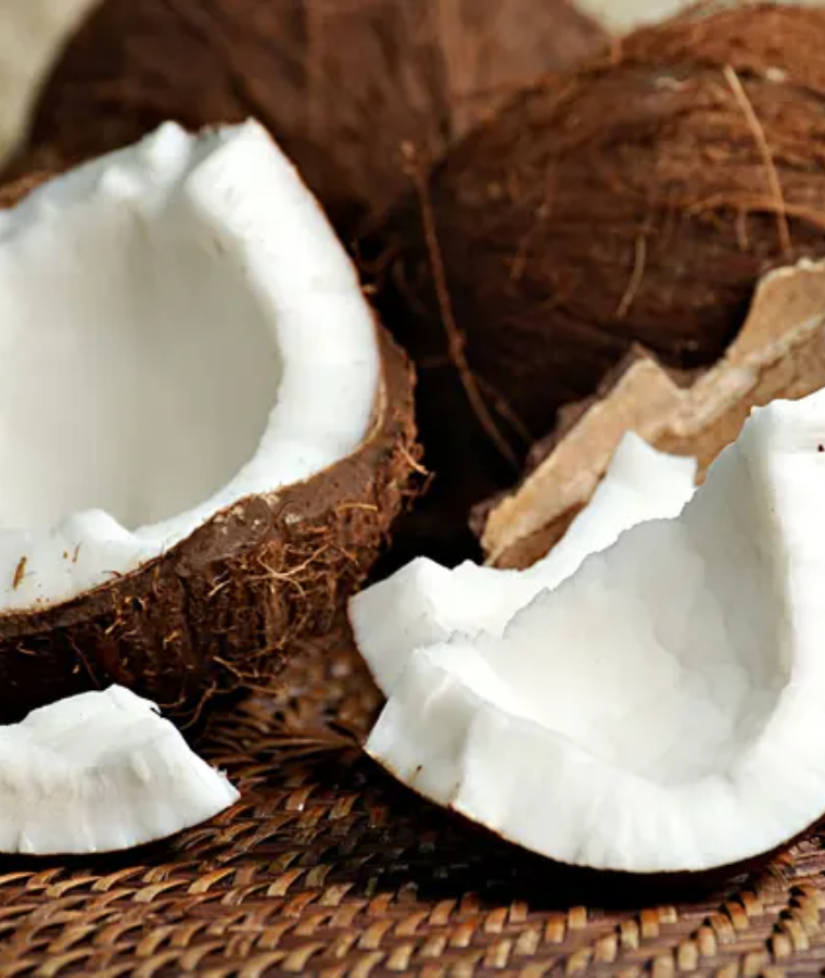 Coconut