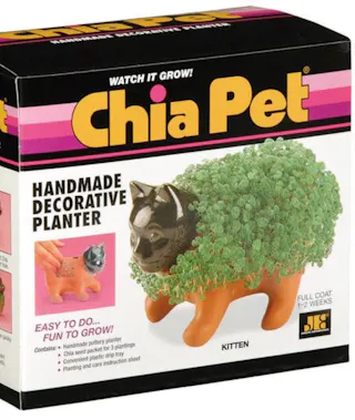 Chia Pet