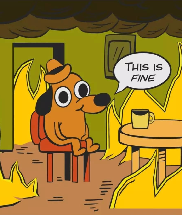 This is Fine Dog