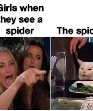 Woman Yelling at Cat