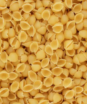 Conchiglie