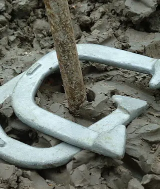 Horseshoes