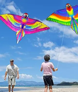 Fly a Kite