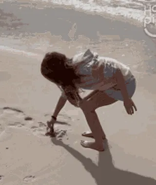 Hunt for Seashells