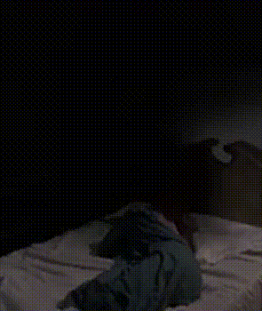 Zelda Reveal — Pet Sematary