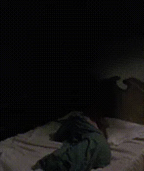 Zelda Reveal — Pet Sematary