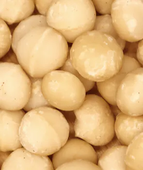 Macadamias