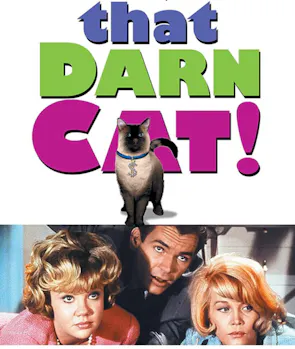 That Darn Cat!