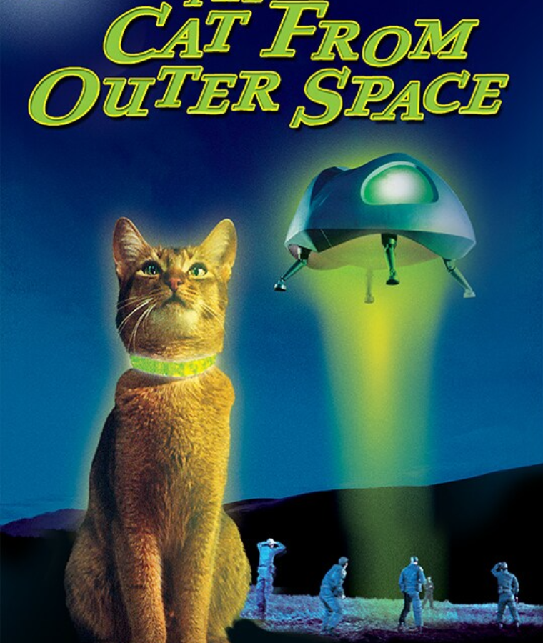 Cat from Outer Space