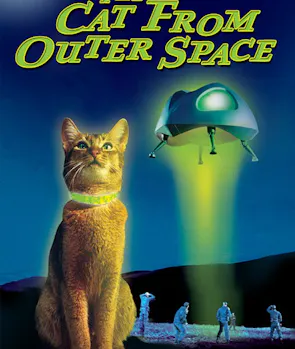 Cat from Outer Space